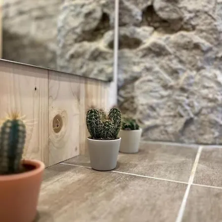 Lehmurlaub Oekologisch Perfekt Apartament